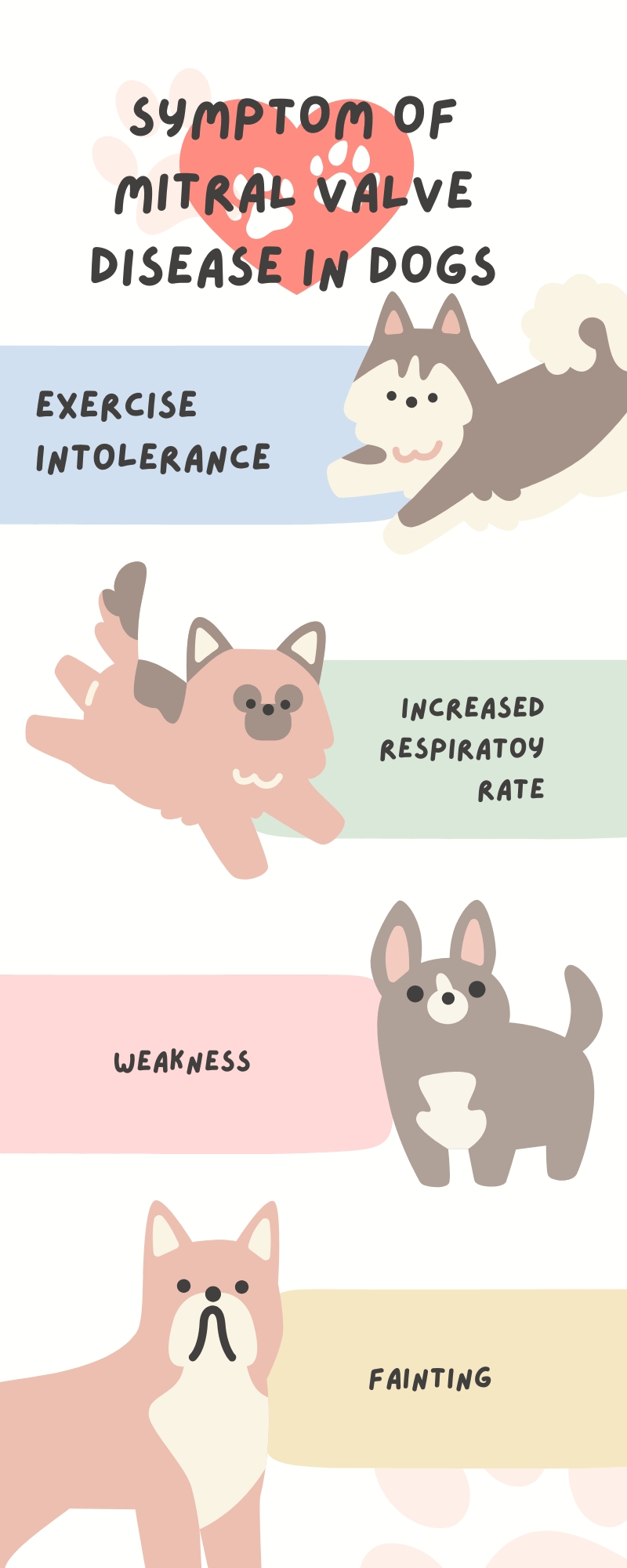 symptom of mitral valve disease in dogs infographic