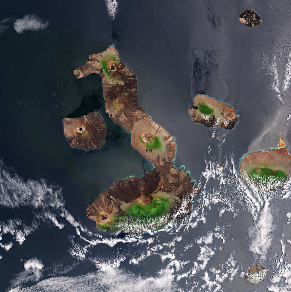 Galápagos Islands: Unveiling Nature’s Enigmatic Tapestry