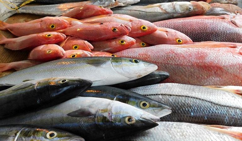 Reeling in Ocean-to-Plate Seafood Sustainability: A Dive into Sustainable Fishing